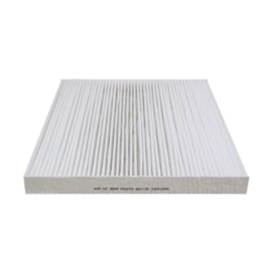 Hastings Cabin Air Filter for 2010 Cadillac STS - AFC1155