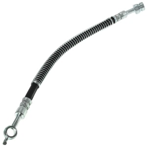 Centric Brake Hose for 2008 Kia Amanti - 150.50355