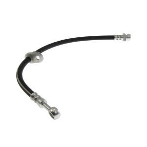 Centric Rear Brake Hose for 1990 Honda Prelude - 150.40019