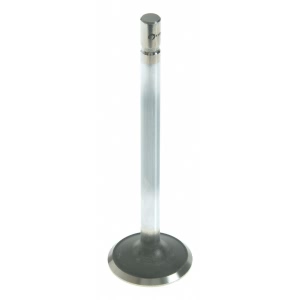 Sealed Power Engine Exhaust Valve for 2001 Mercury Mountaineer - V-4555