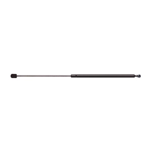 StrongArm Back Glass Lift Support for 2008 Infiniti QX56 - 6612