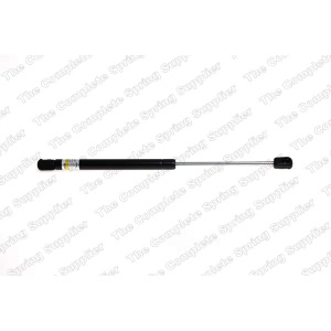 lesjofors Hood Lift Support for 2007 Jaguar X-Type - 8095006