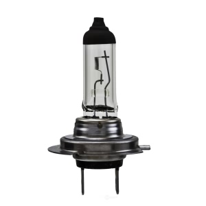 Hella H7Sb Standard Series Halogen Light Bulb for 2006 Suzuki Verona - H7SB