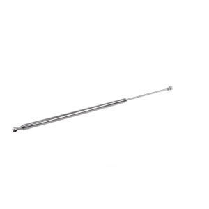 VAICO Liftgate Lift Support - V20-0994