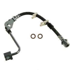 Wagner Brake Hydraulic Hose for Ford Freestar - BH142775