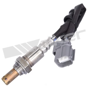 Walker Products Oxygen Sensor for 2007 Honda Element - 350-64040