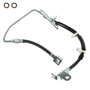 Wagner Rear Passenger Side Brake Hydraulic Hose - BH140876