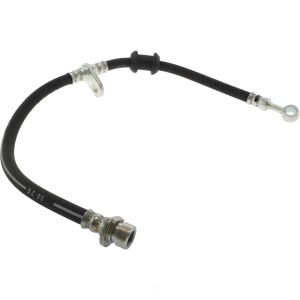 Centric Rear Passenger Side Brake Hose for 1999 Acura NSX - 150.40363