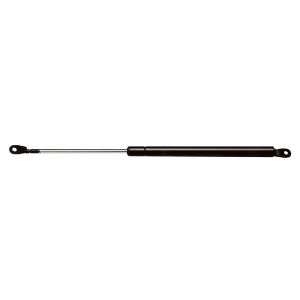 StrongArm Back Door Lift Support for 2004 Chevrolet Tracker - 4560