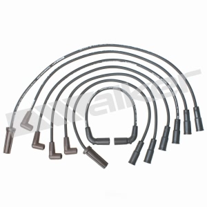 Walker Products Spark Plug Wire Set for Chevrolet Blazer - 924-1362