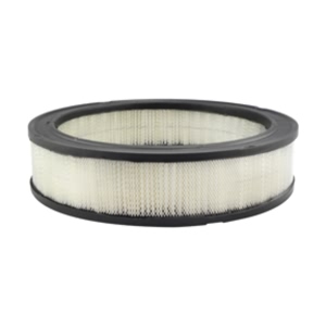 Hastings Air Filter for Mercury Monterey - AF276