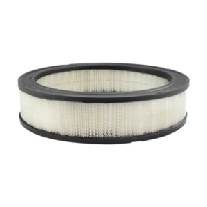 Hastings Air Filter for 1984 Lincoln Town Car - AF276