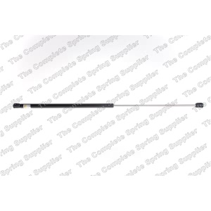 lesjofors Hood Lift Support for 2012 Volkswagen Eos - 8095015