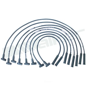 Walker Products Spark Plug Wire Set for Buick Regal - 924-1406