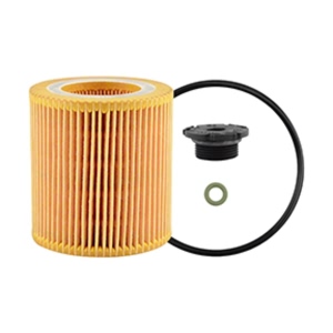 Hastings Engine Oil Filter Element for 2013 BMW 528i - LF695