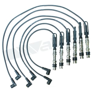Walker Products Spark Plug Wire Set for 2001 Volkswagen Jetta - 924-2038