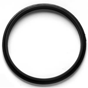 Denso Fuel Pump Seal for Toyota - 954-0006
