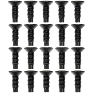 Dorman OE Solutions Door Hinge Screws for 2004 Jeep Wrangler - 926-888