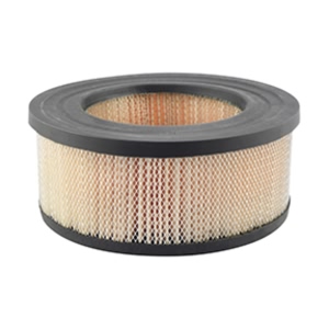 Hastings Air Filter for American Motors - AF2237