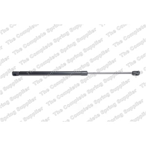 lesjofors Liftgate Lift Support for 2013 Hyundai Tucson - 8137245