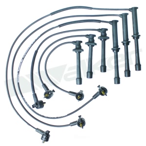 Walker Products Spark Plug Wire Set for 1999 Mazda 626 - 924-1817