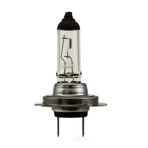 Hella High Wattage Series Halogen Light Bulb for Mercedes-Benz ML250 - H7 70W