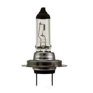 Hella High Wattage Series Halogen Light Bulb for 2017 Audi A6 - H7 70W