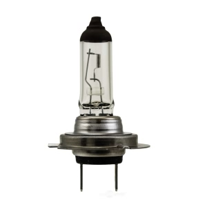 Hella High Wattage Series Halogen Light Bulb for Mercedes-Benz GLE350 - H7 70W