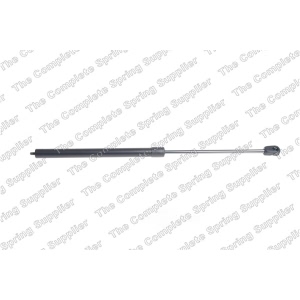 lesjofors Driver Side Hood Lift Support - 8069710