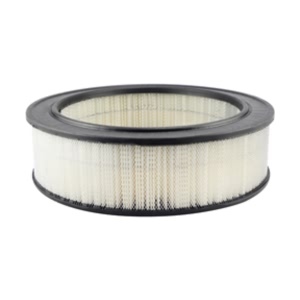 Hastings Air Filter for Mercedes-Benz 300D - AF822