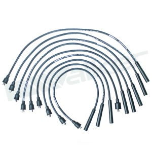 Walker Products Spark Plug Wire Set for Dodge W150 - 924-1519