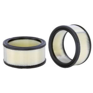 WIX Air Filter for Fiat - 42110