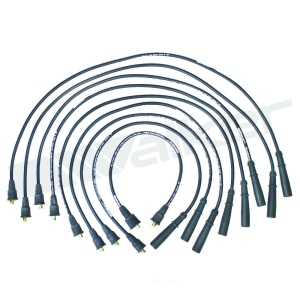 Walker Products Spark Plug Wire Set for Pontiac LeMans - 924-1417