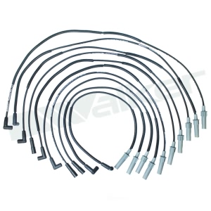 Walker Products Spark Plug Wire Set for Dodge Ram 1500 - 924-1839