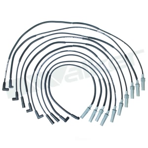 Walker Products Spark Plug Wire Set for 2005 Dodge Viper - 924-1839