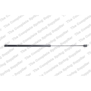 lesjofors Liftgate Lift Support for 2015 Ford C-Max - 8127579