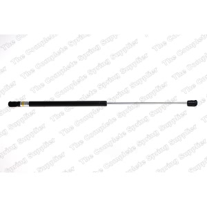 lesjofors Hood Lift Support for 2005 Mini Cooper - 8058700