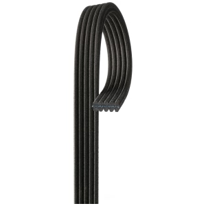 Gates Micro V Dual Sided V Ribbed Belt for 2010 Cadillac STS - DK050610
