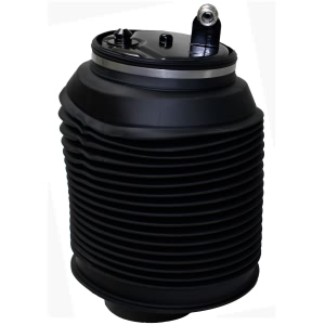 Westar Rear Driver Side Air Spring - AS-7037