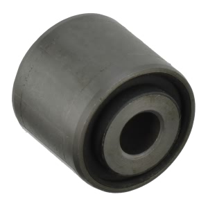 Delphi Rear Forward Control Arm Bushing for Jaguar - TD1155W