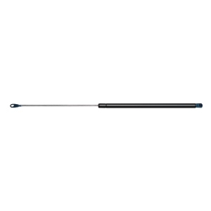 StrongArm Liftgate Lift Support for Hyundai - 4985