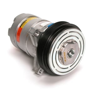 Delphi A C Compressor With Clutch for 1991 Buick LeSabre - CS0129