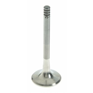 Sealed Power Engine Exhaust Valve for Audi A6 - V-4618X