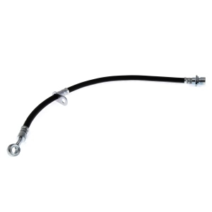 Centric Rear Passenger Side Brake Hose for 2001 Honda Accord - 150.40338