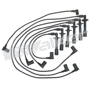 Walker Products Spark Plug Wire Set for Porsche 911 - 924-1266