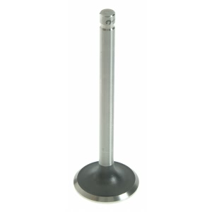 Sealed Power Engine Exhaust Valve - V-1770