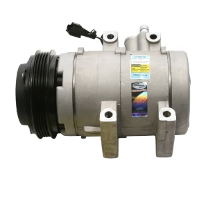 Delphi A C Compressor With Clutch for 2004 Kia Sorento - CS20139