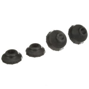 Delphi Front Radius Arm Bushings for Ford F-250 - TD4610W