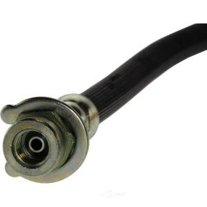 Centric Brake Hose for 1984 Plymouth Horizon - 150.63306