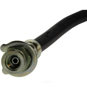 Centric Brake Hose for Dodge Charger - 150.63306